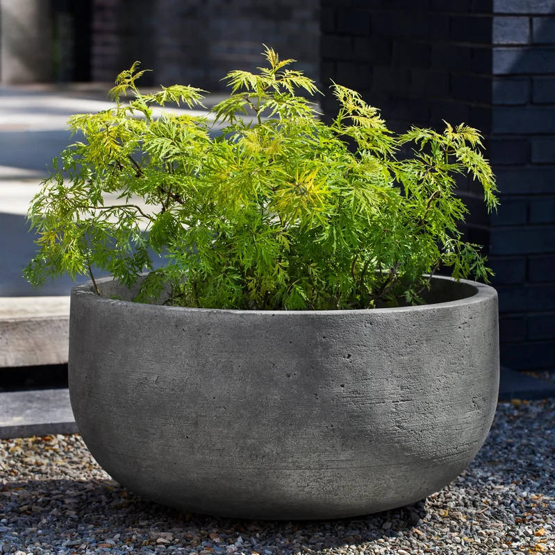 birdsallgarden968601