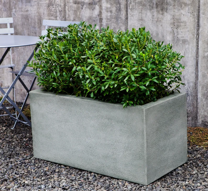 birdsallgarden969852
