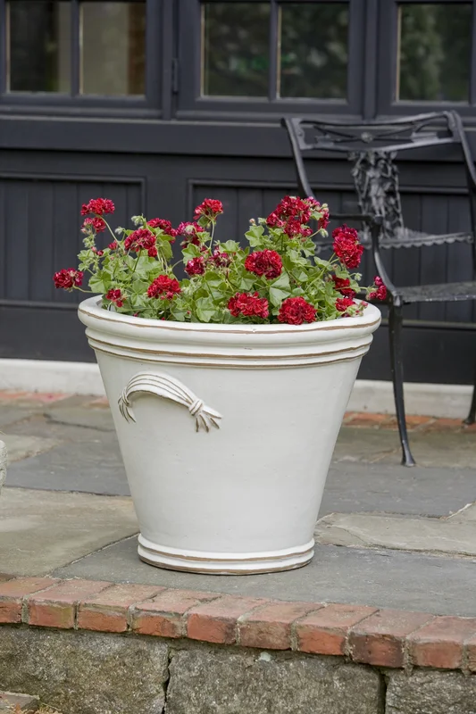 birdsallgarden972380