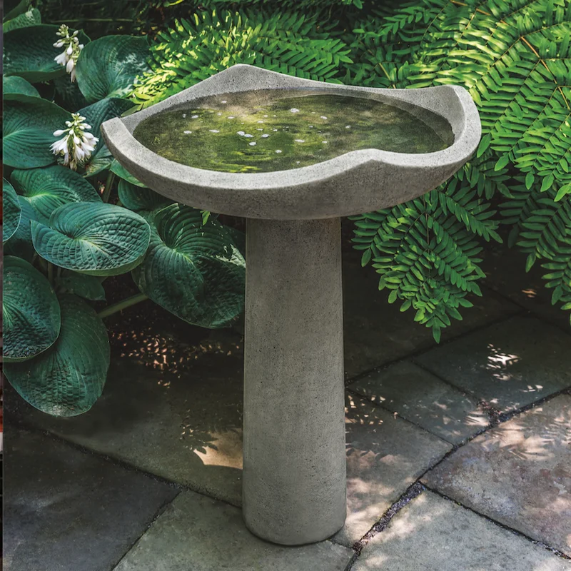 birdsallgarden976472