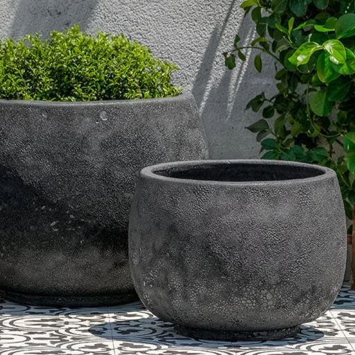 birdsallgarden977834