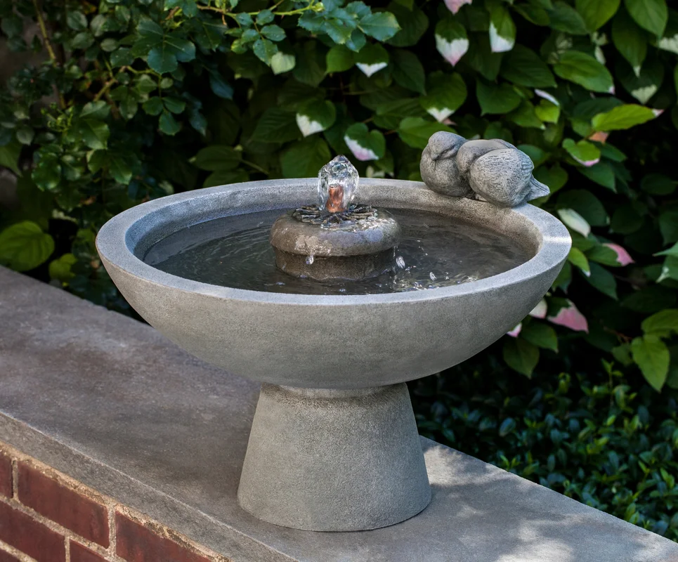birdsallgarden977995