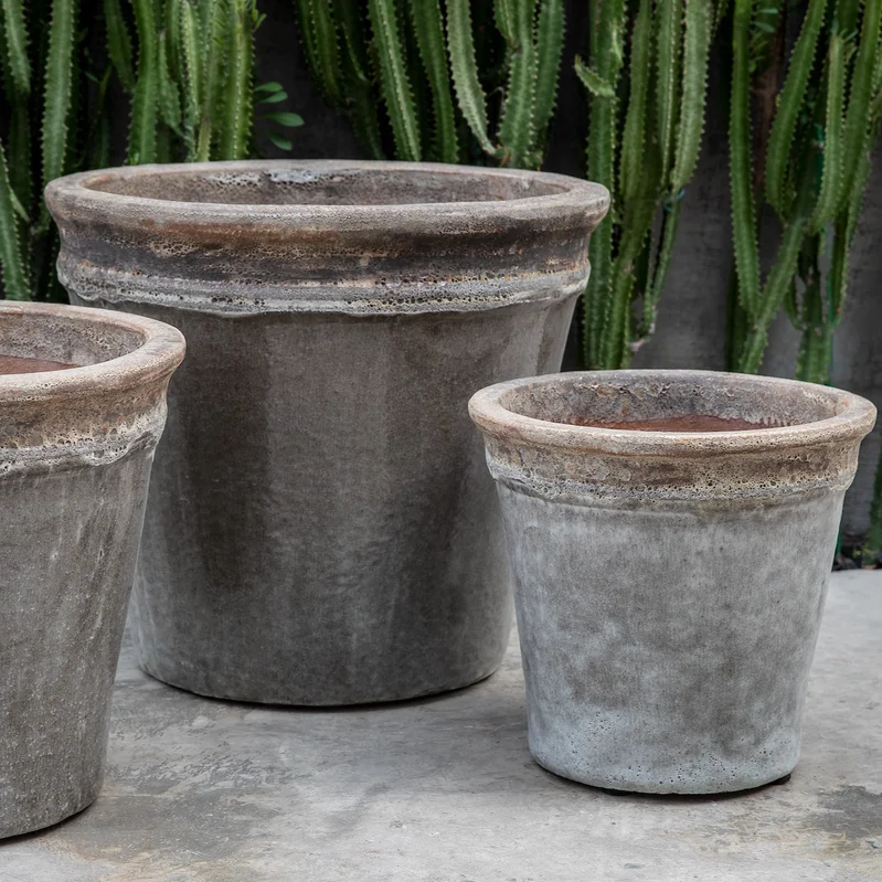 birdsallgarden980483
