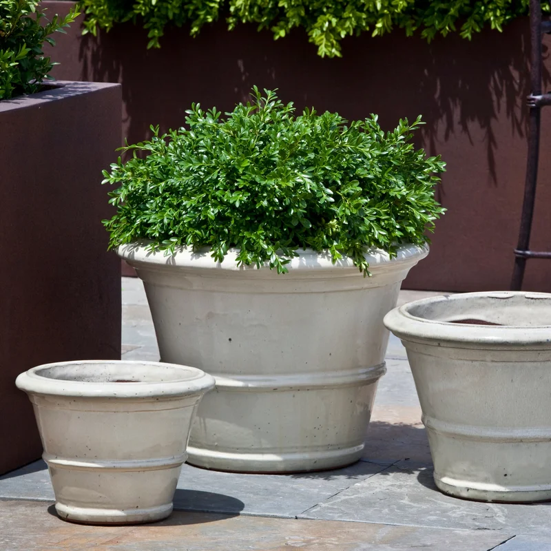 birdsallgarden981568