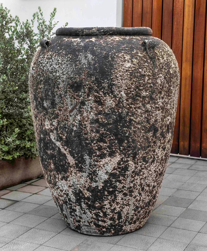 birdsallgarden981618