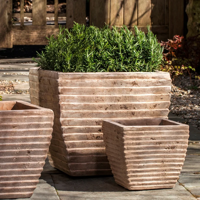birdsallgarden982084