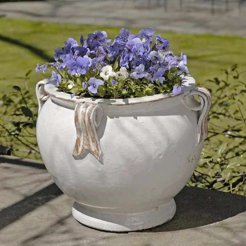birdsallgarden982118