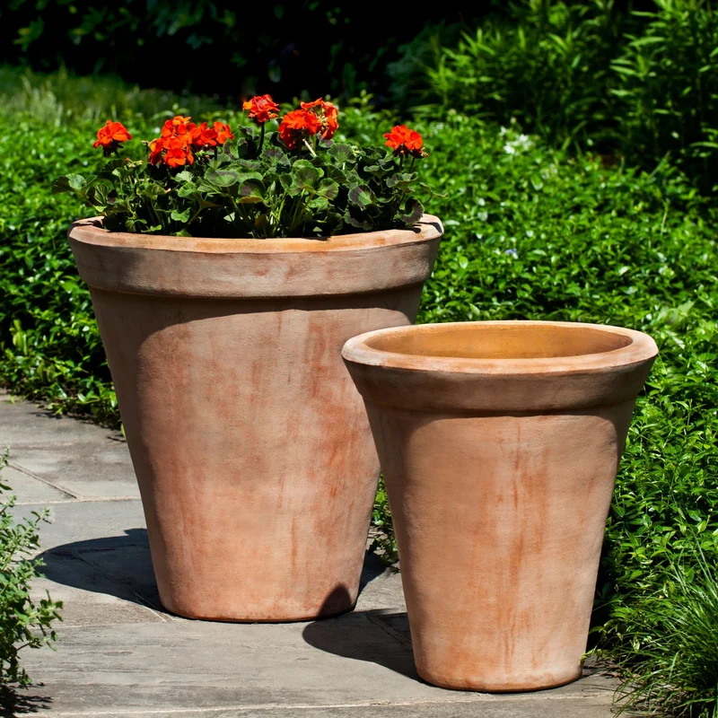 birdsallgarden982473