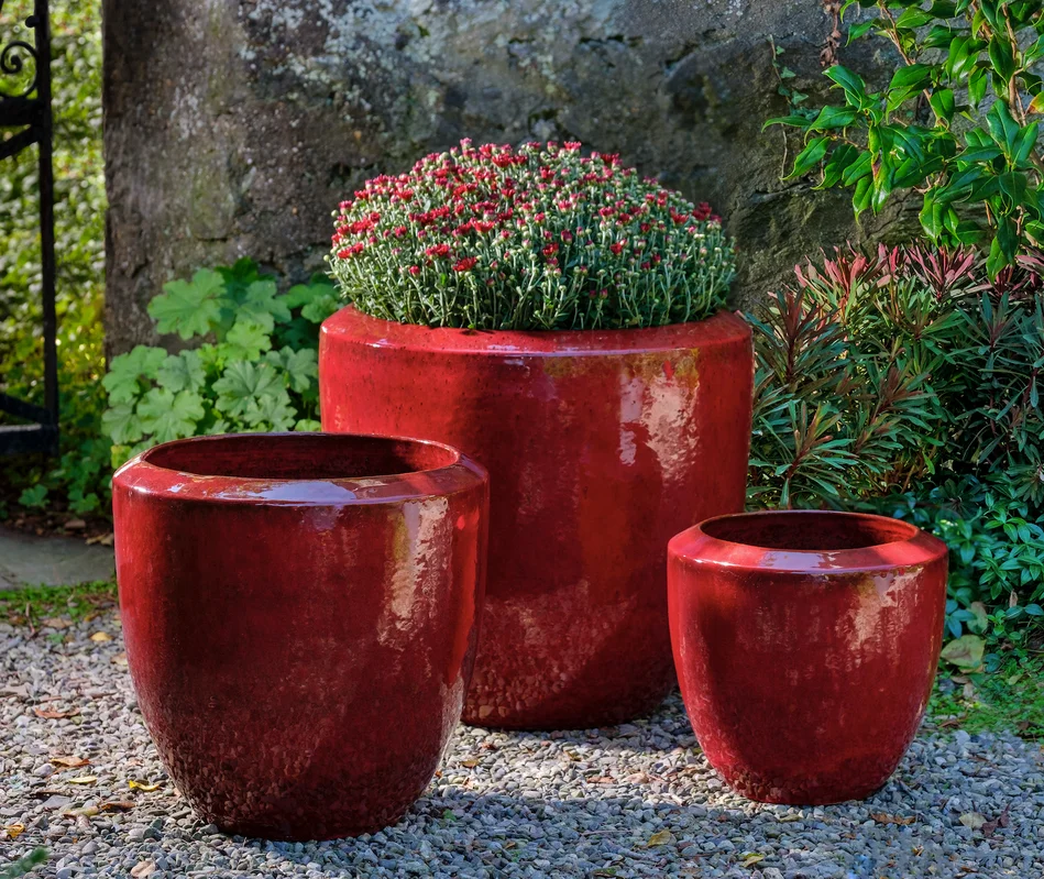 birdsallgarden982751