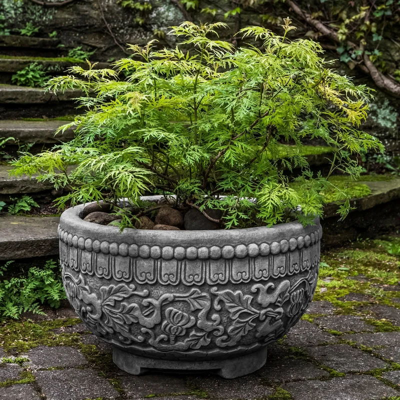 birdsallgarden984967