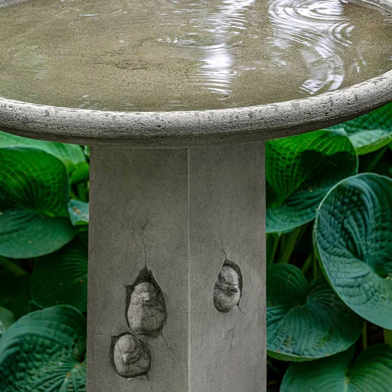 birdsallgarden985909