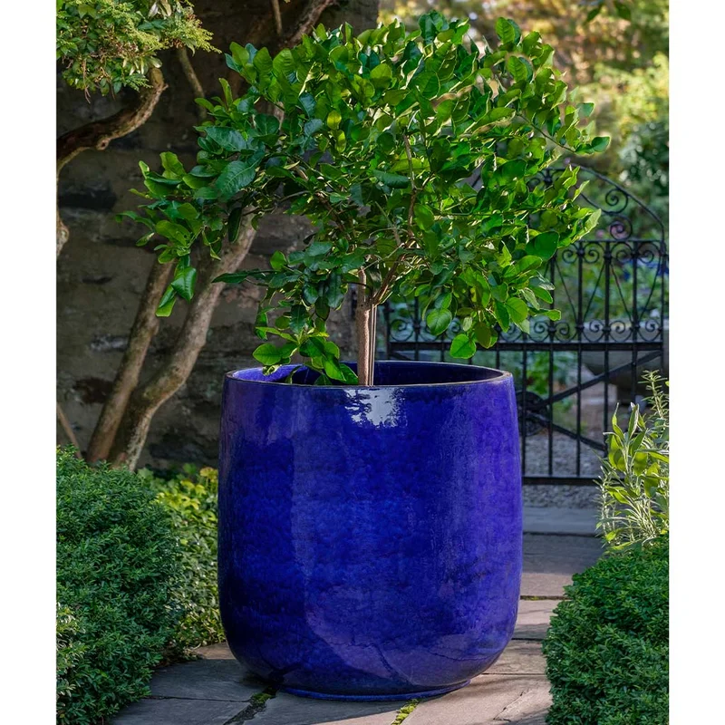 birdsallgarden986420