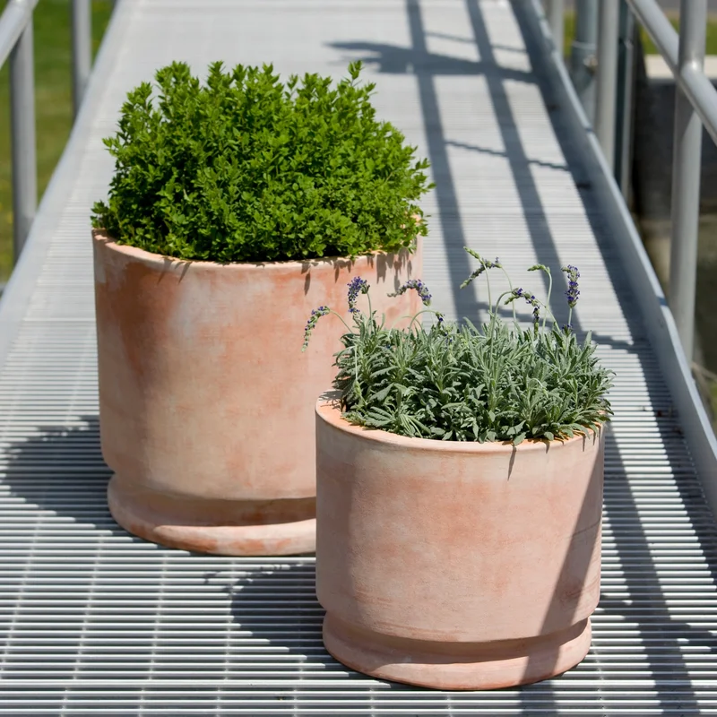 birdsallgarden986474