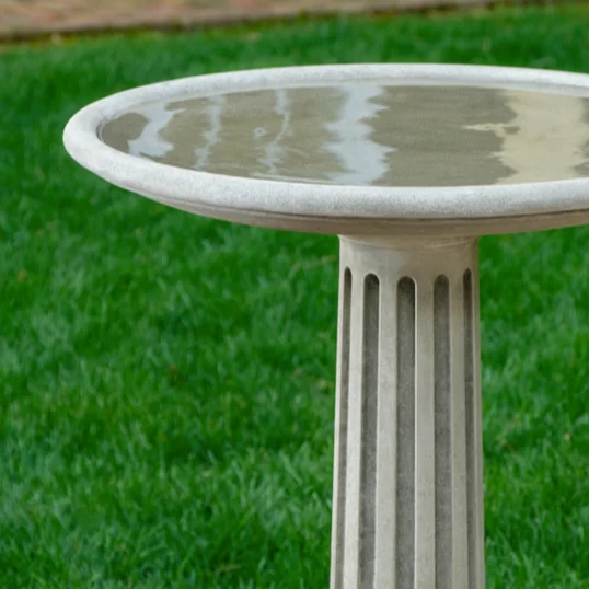 birdsallgarden986623