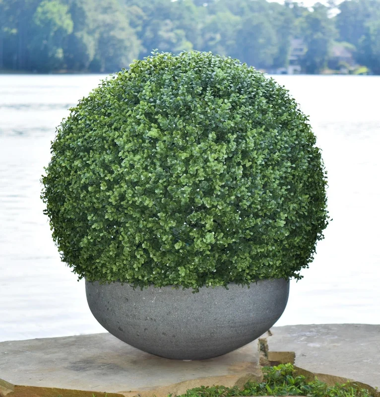 birdsallgarden988503