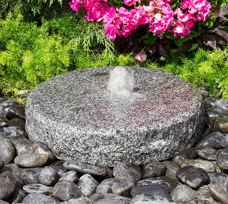 birdsallgarden988656