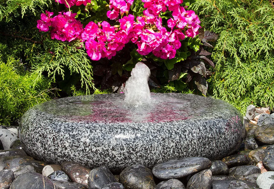 birdsallgarden988664
