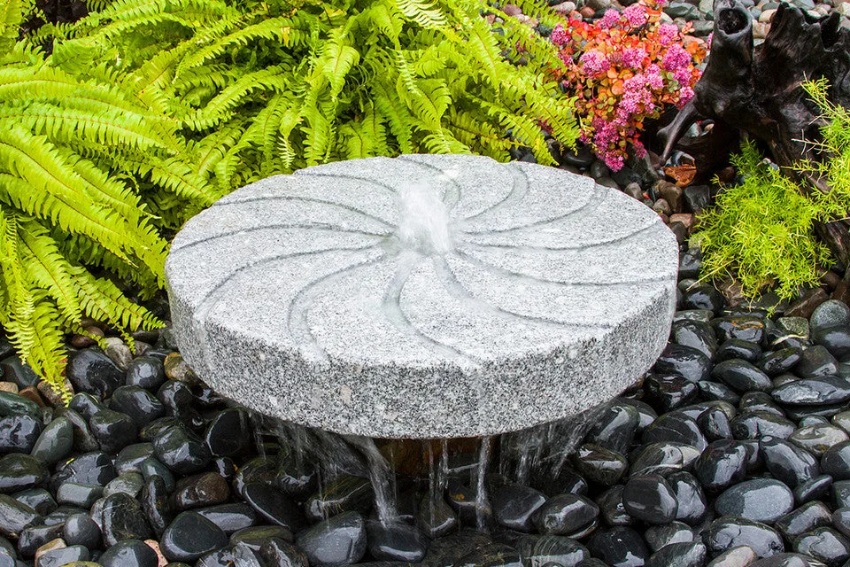 birdsallgarden988704