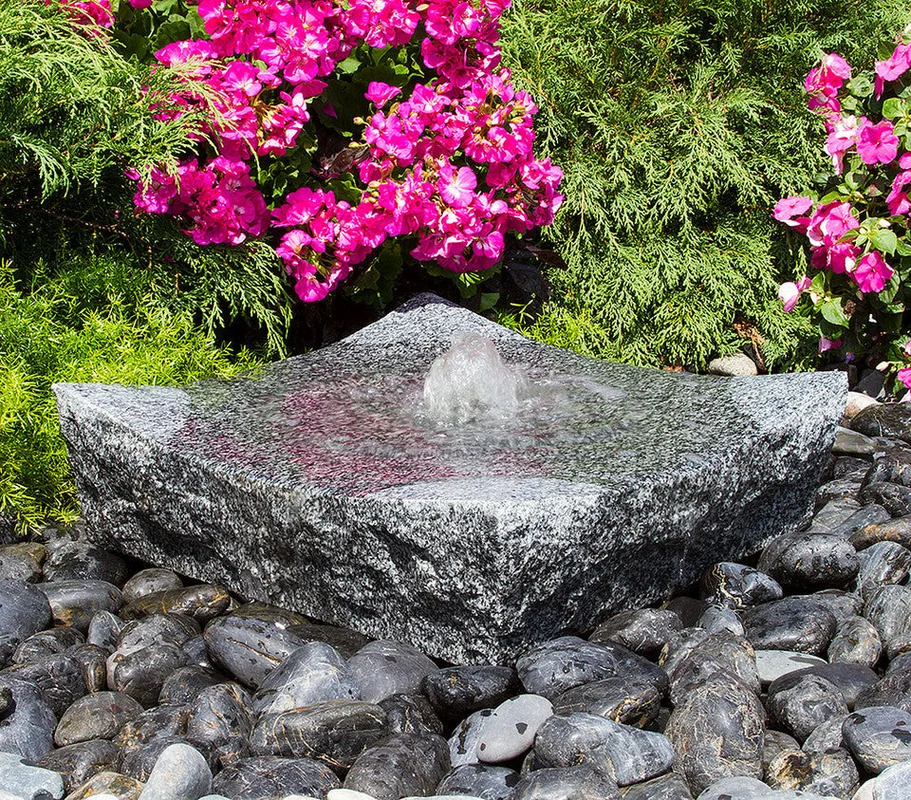 birdsallgarden988712
