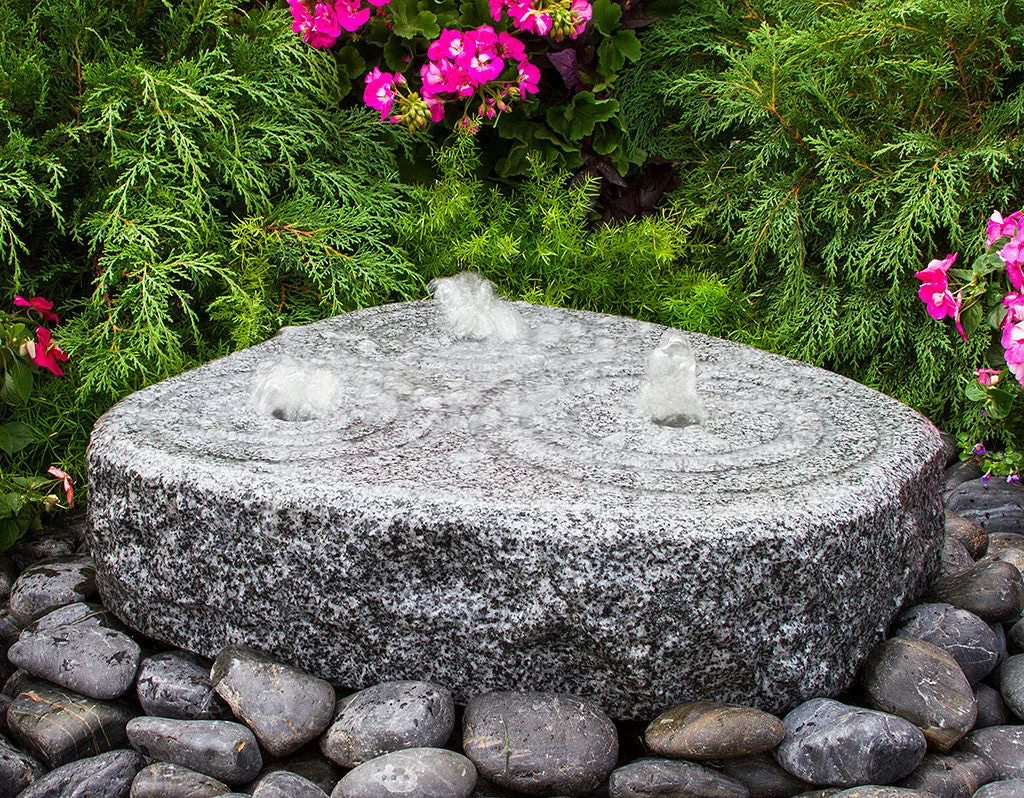 birdsallgarden988719