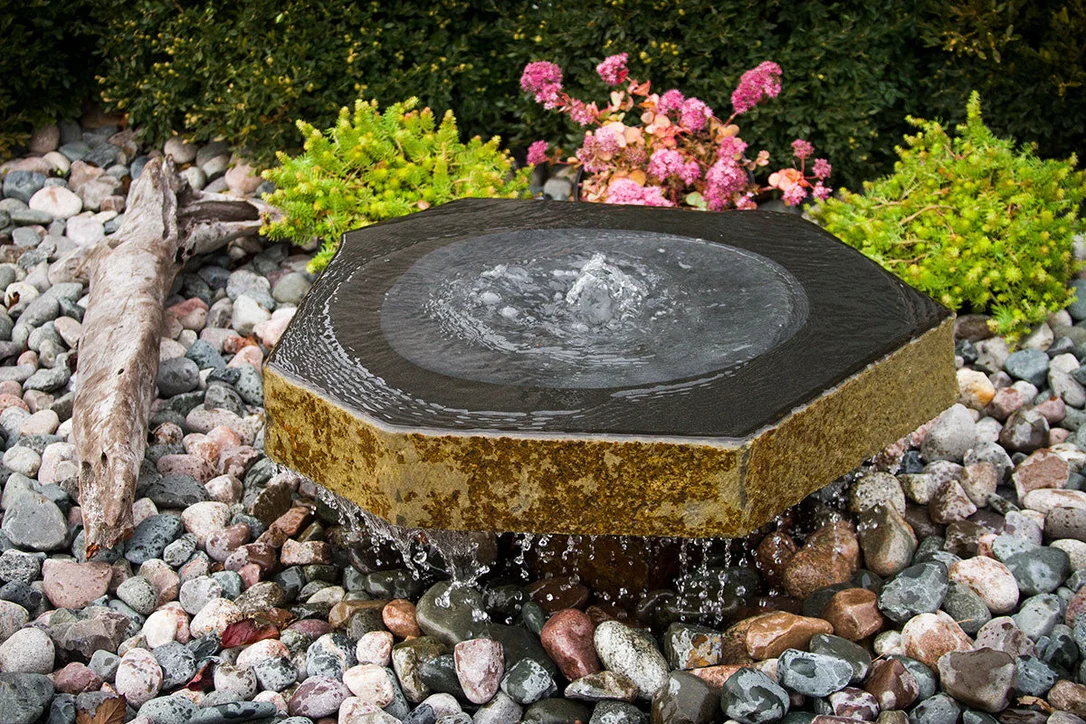 birdsallgarden988753