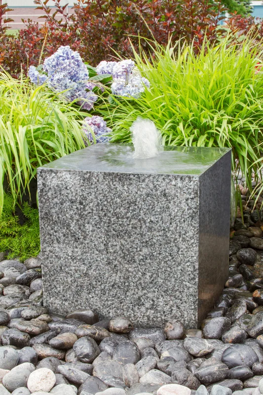 birdsallgarden988775