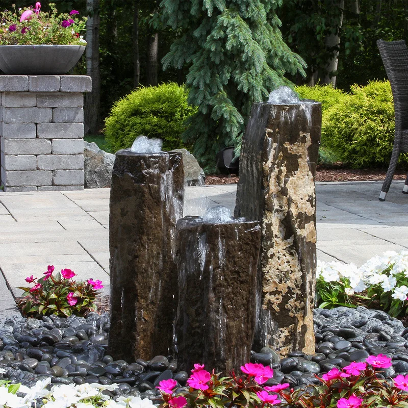 birdsallgarden988827