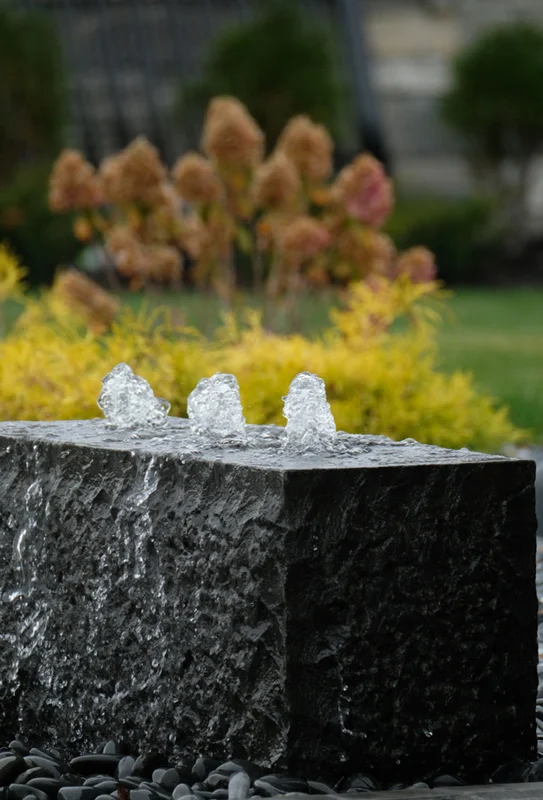 birdsallgarden988987