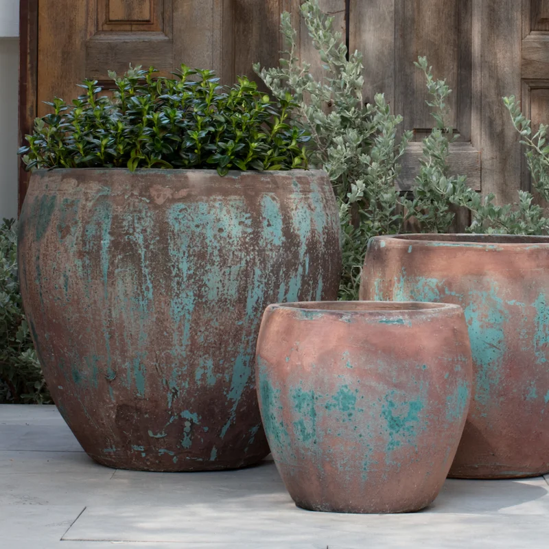 birdsallgarden990981