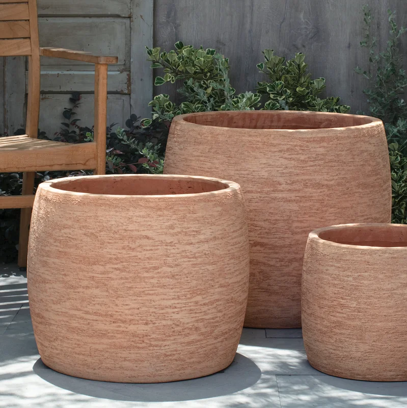 birdsallgarden991134