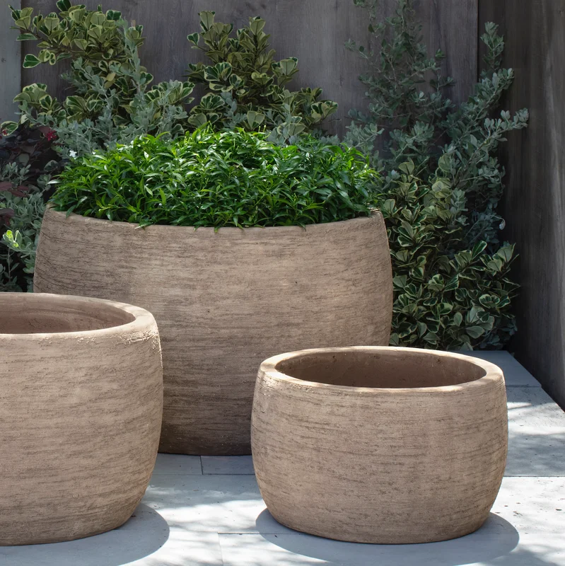 birdsallgarden991159