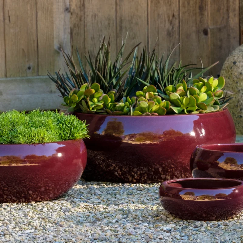 birdsallgarden991315