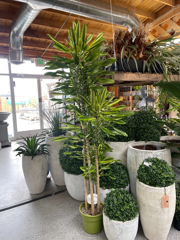 birdsallgarden991453