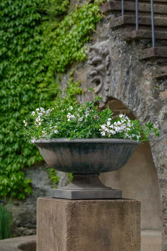 birdsallgarden991705