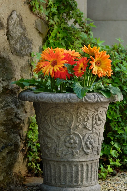 birdsallgarden991792