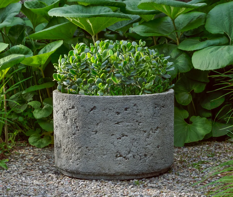 birdsallgarden991832