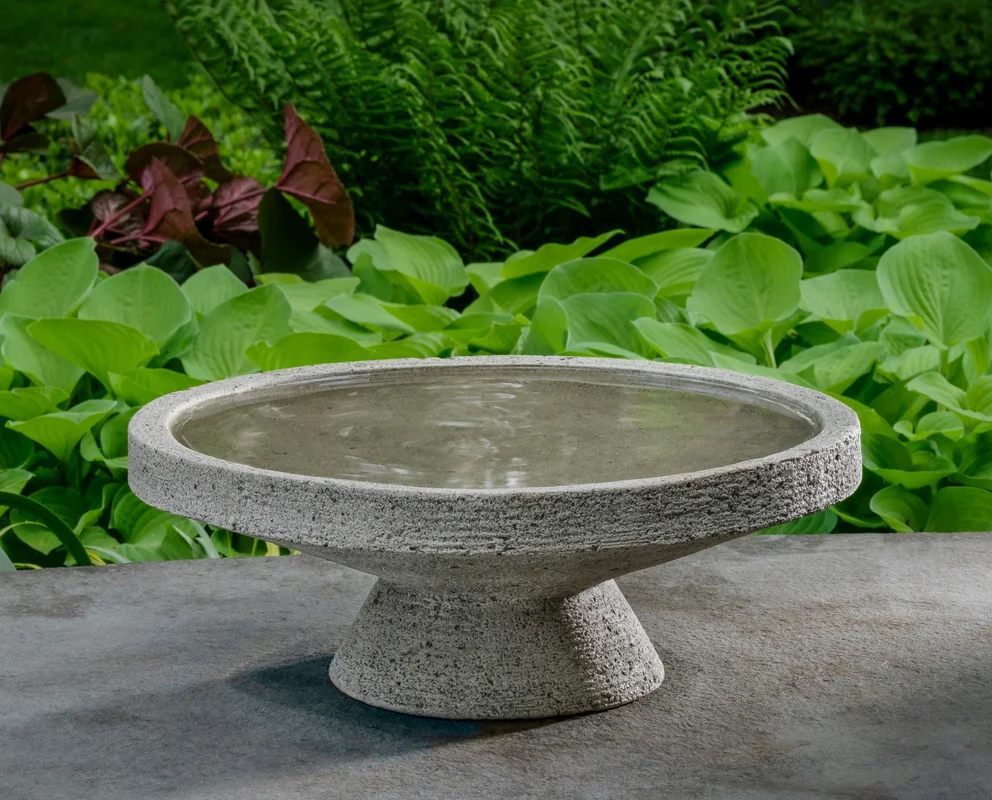 birdsallgarden991872
