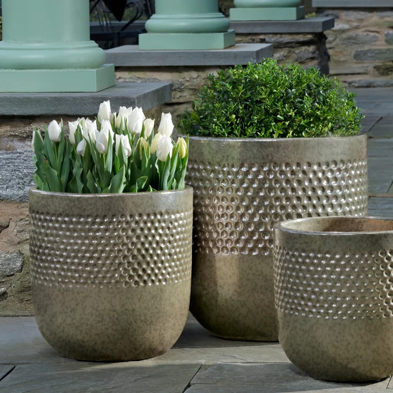 birdsallgarden992082