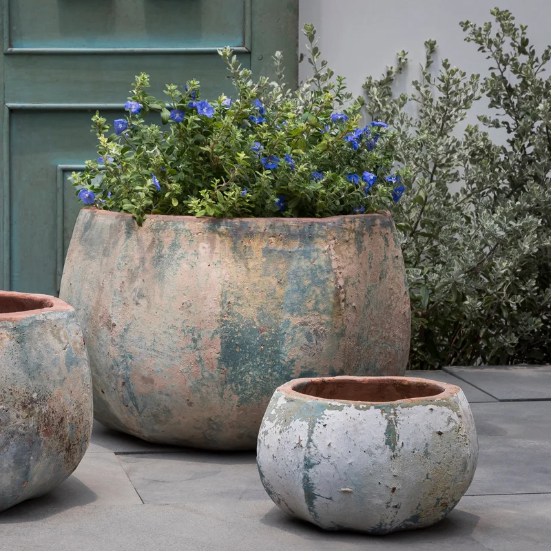 birdsallgarden992402