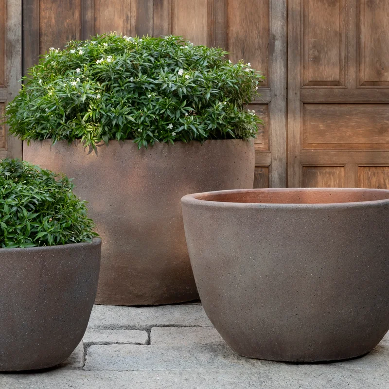 birdsallgarden992461