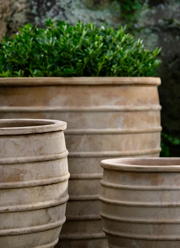 birdsallgarden992564