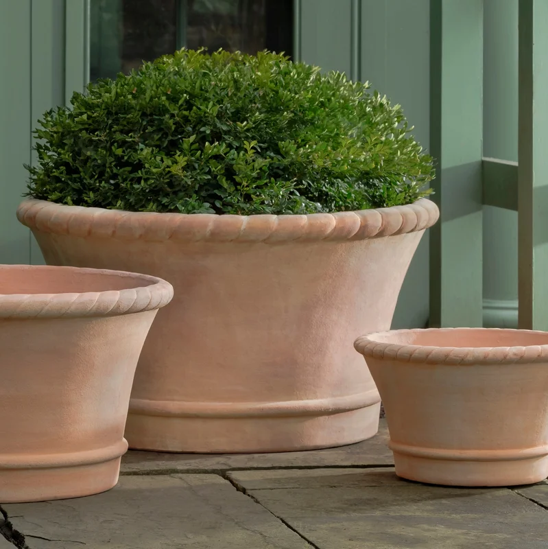 birdsallgarden992596