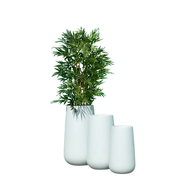 birdsallgarden992733