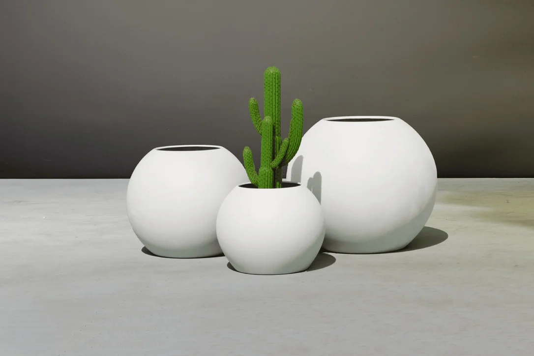 birdsallgarden992736