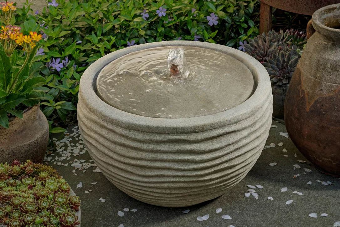 birdsallgarden992750