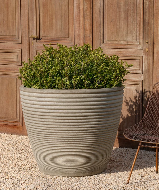 birdsallgarden992764