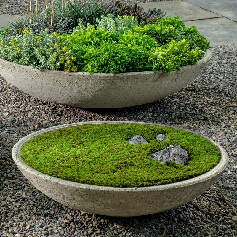 birdsallgarden992787