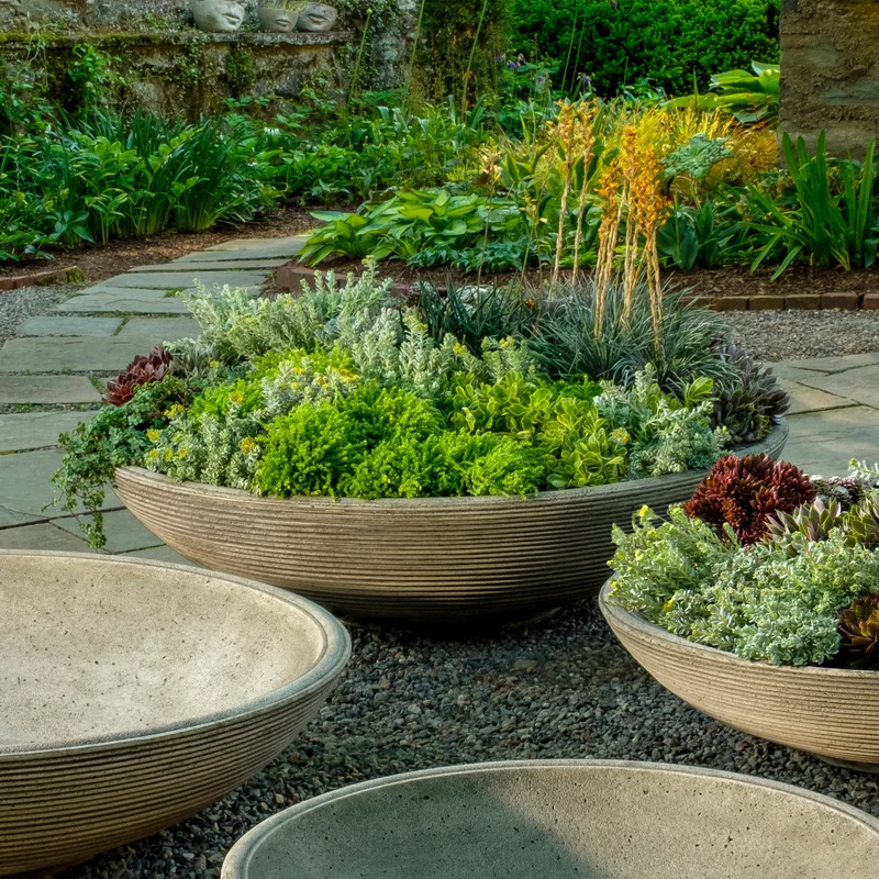birdsallgarden992791