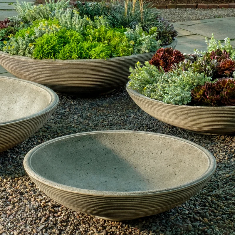 birdsallgarden992799
