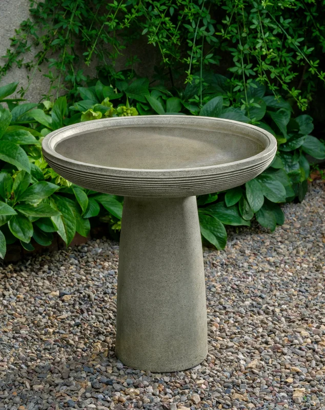 birdsallgarden992816